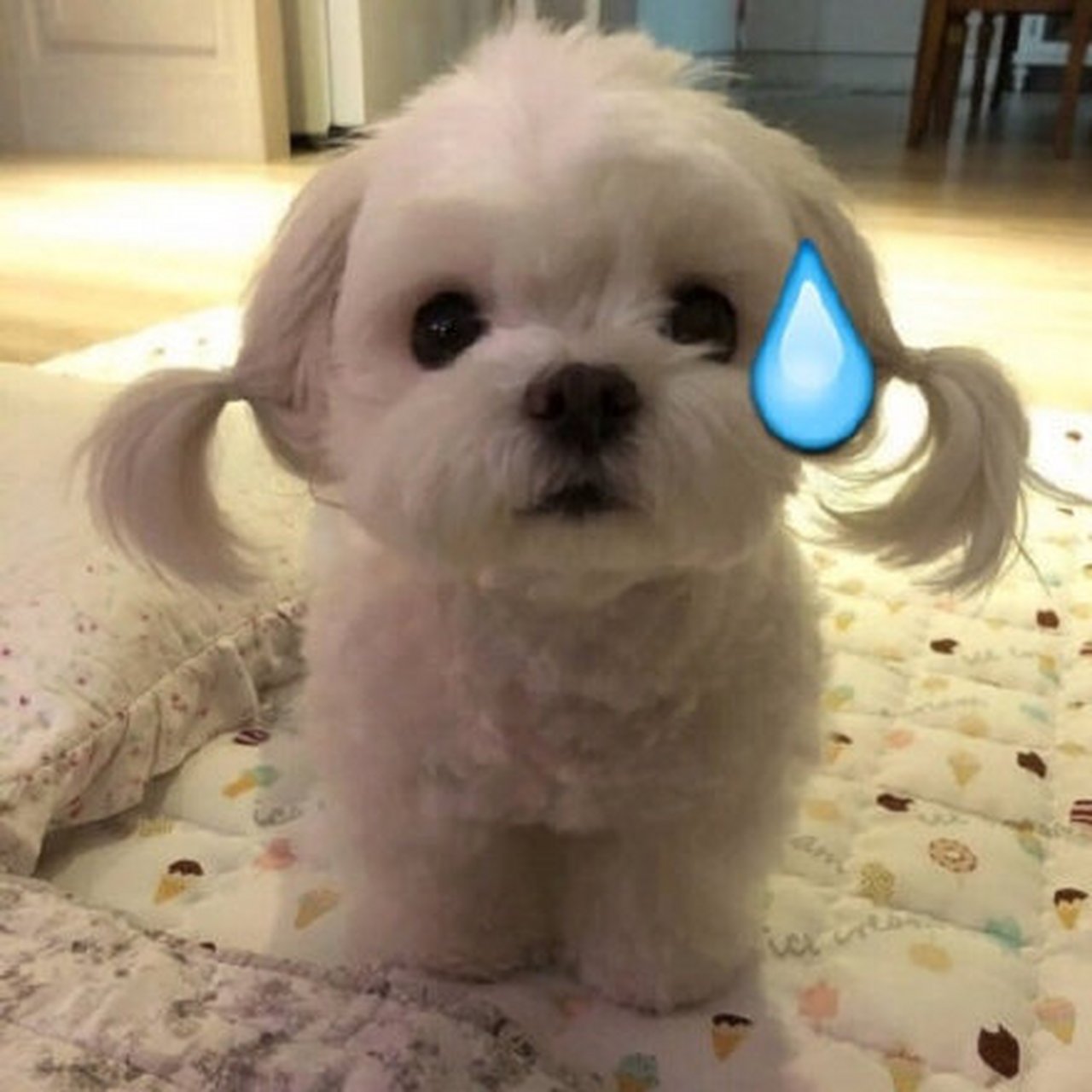 流汗表情包