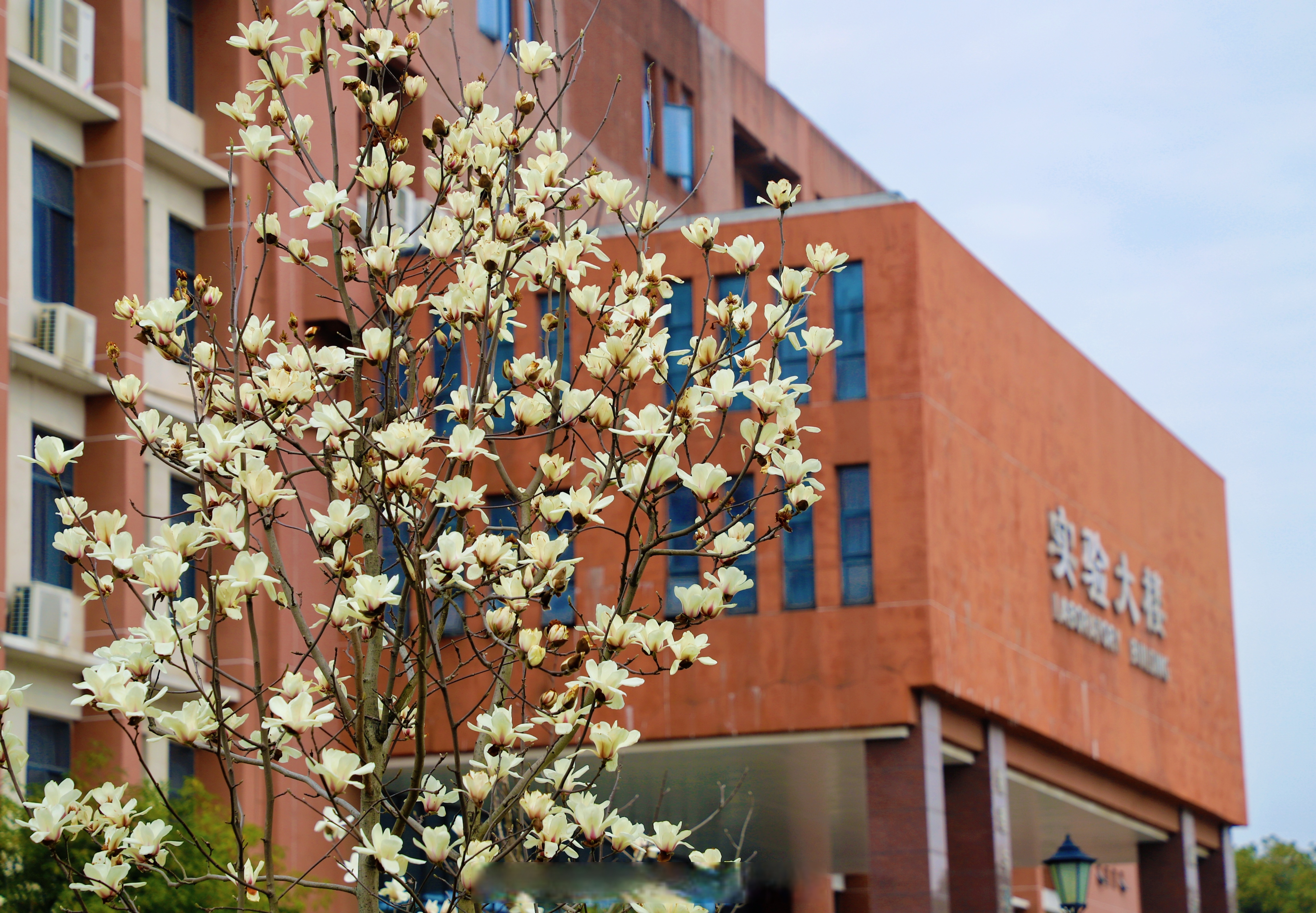 江西师范大学地图瑶湖图片