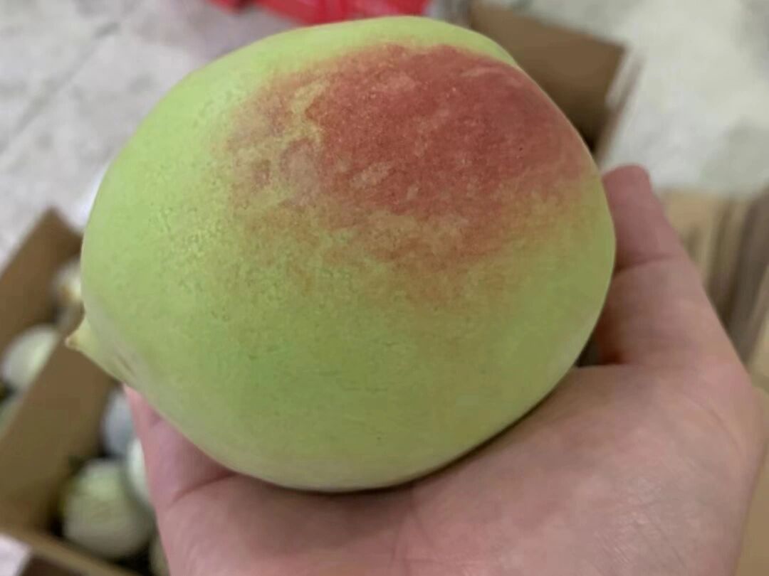 鹰嘴桃7815岭南十大佳果之一 自家果园种植,国家地理标志产品99