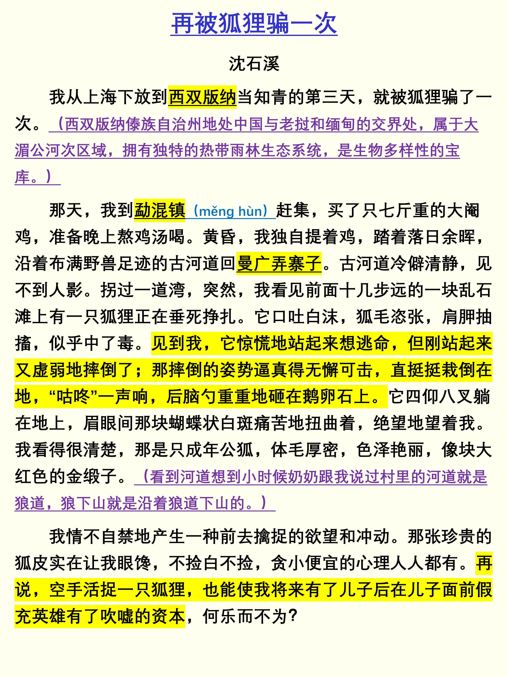 《再被狐狸骗一次》沈石溪