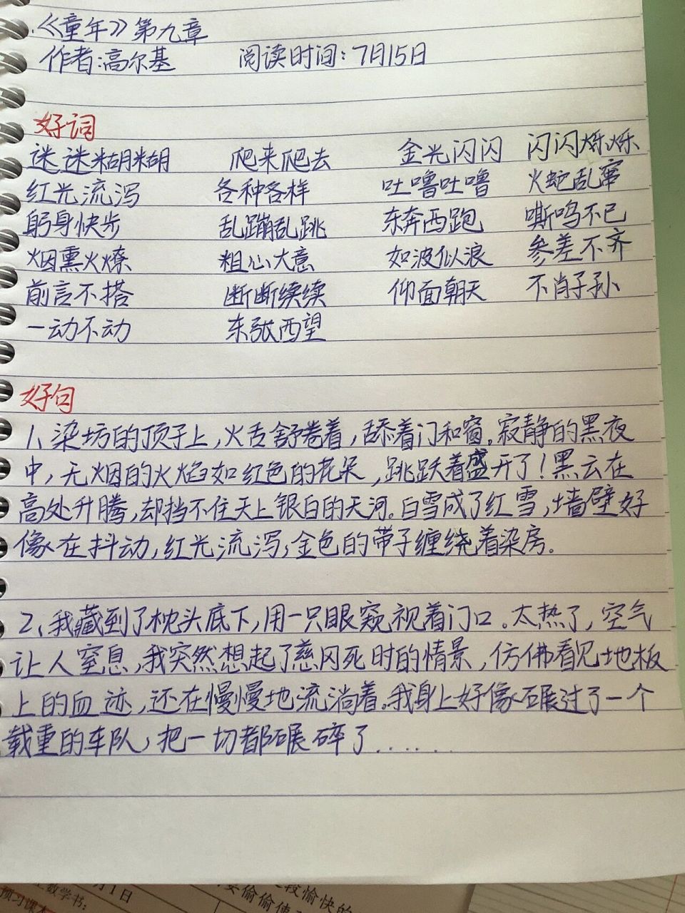 《童年》读书笔记,第九章