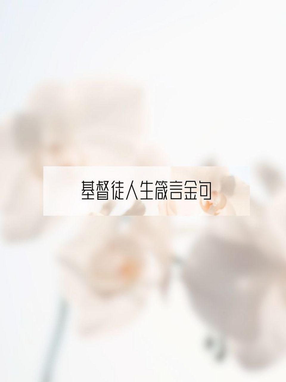 基督徒人生箴言金句 😇不要论断人,以免被论断.