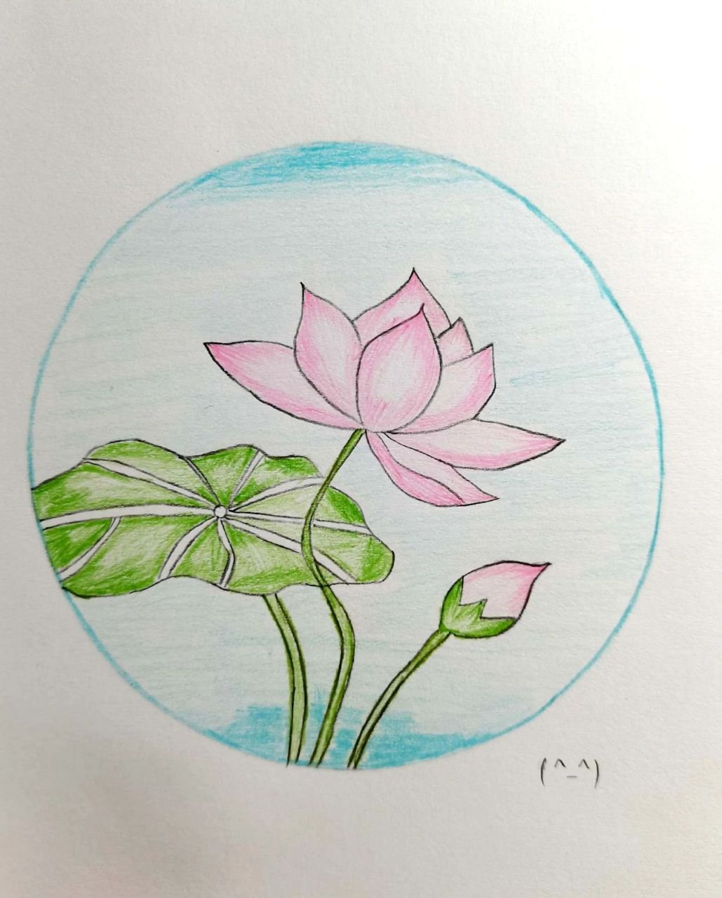 荷花彩铅简笔画 荷花彩铅简笔画