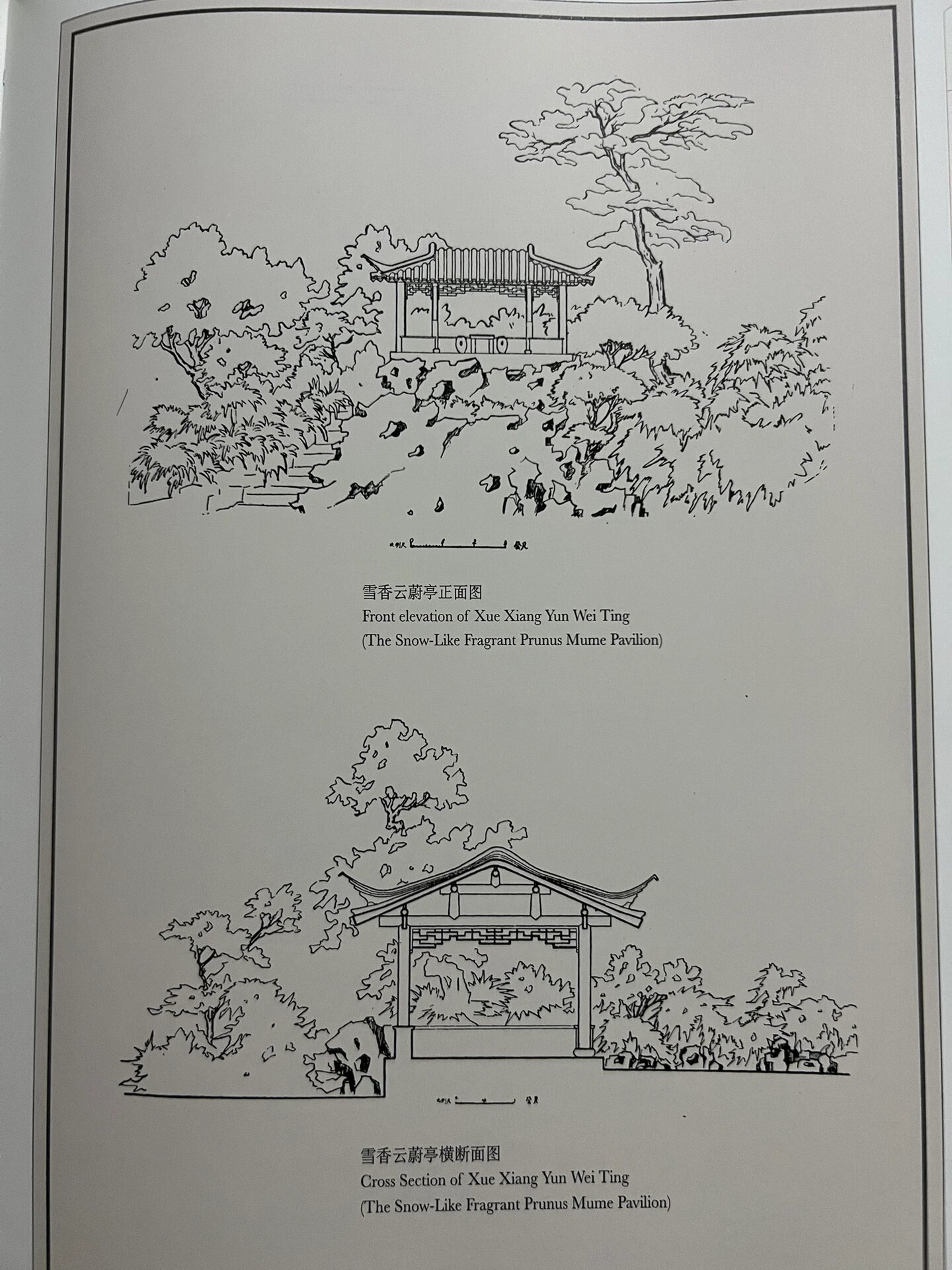 图纸 拙政园 香洲雪香云蔚绣绮亭别有洞天 香洲俗呼旱船,形似船而不能