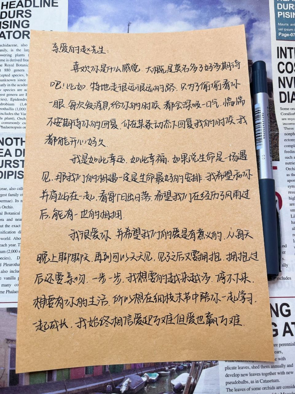 第163封|写给男朋友的小作文7815爱可迎万难