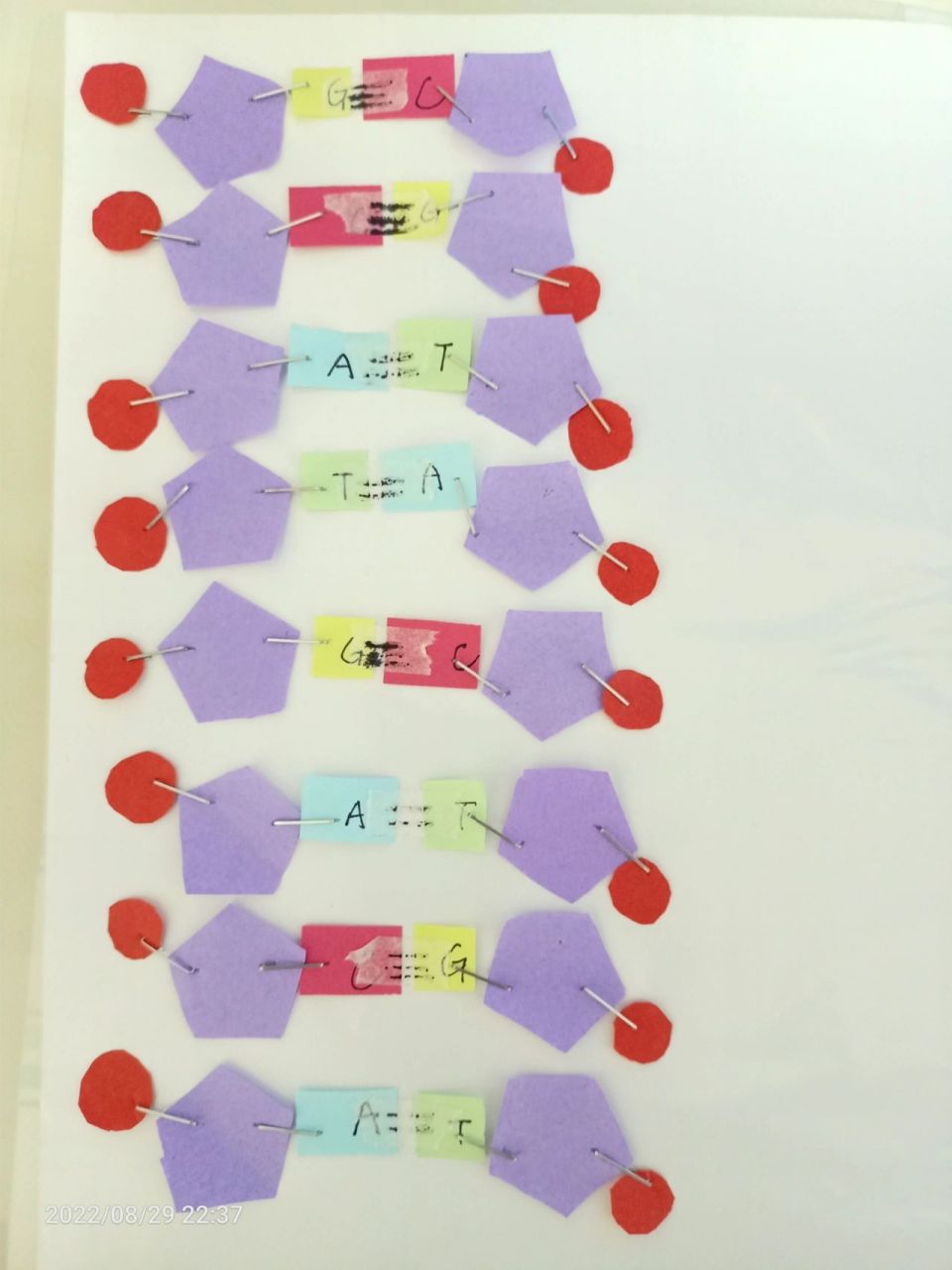 dna双螺旋结构模型制作 雏形 明天完善 鬼知道我做了多久