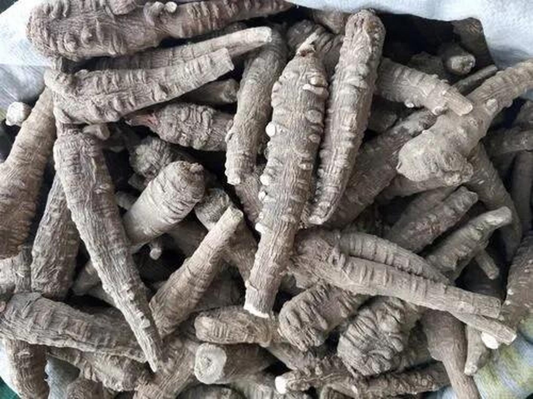 每日一味中药——白芷 白芷,生河东川谷下泽,今所在有之,吴地尤多.