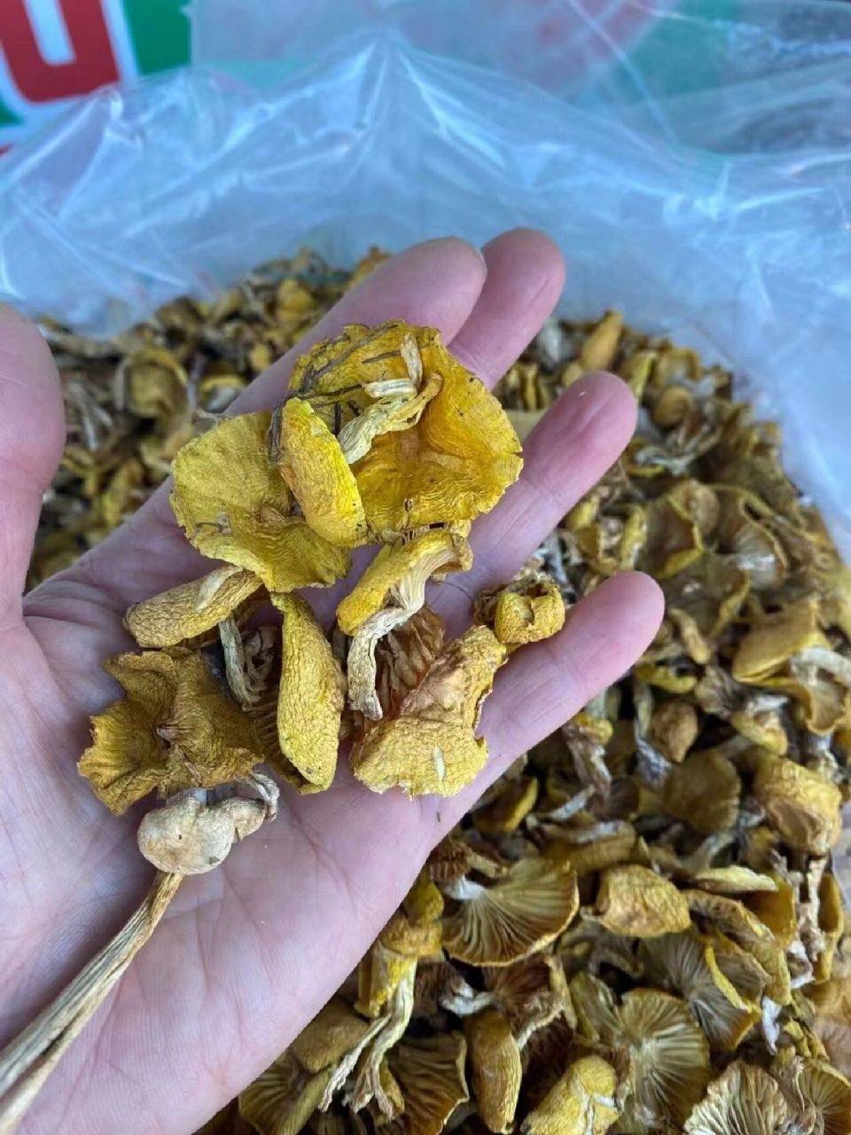 大东北深山野生小黄蘑～～天下第一鲜人工采摘,自然晾晒,挑拣的非常