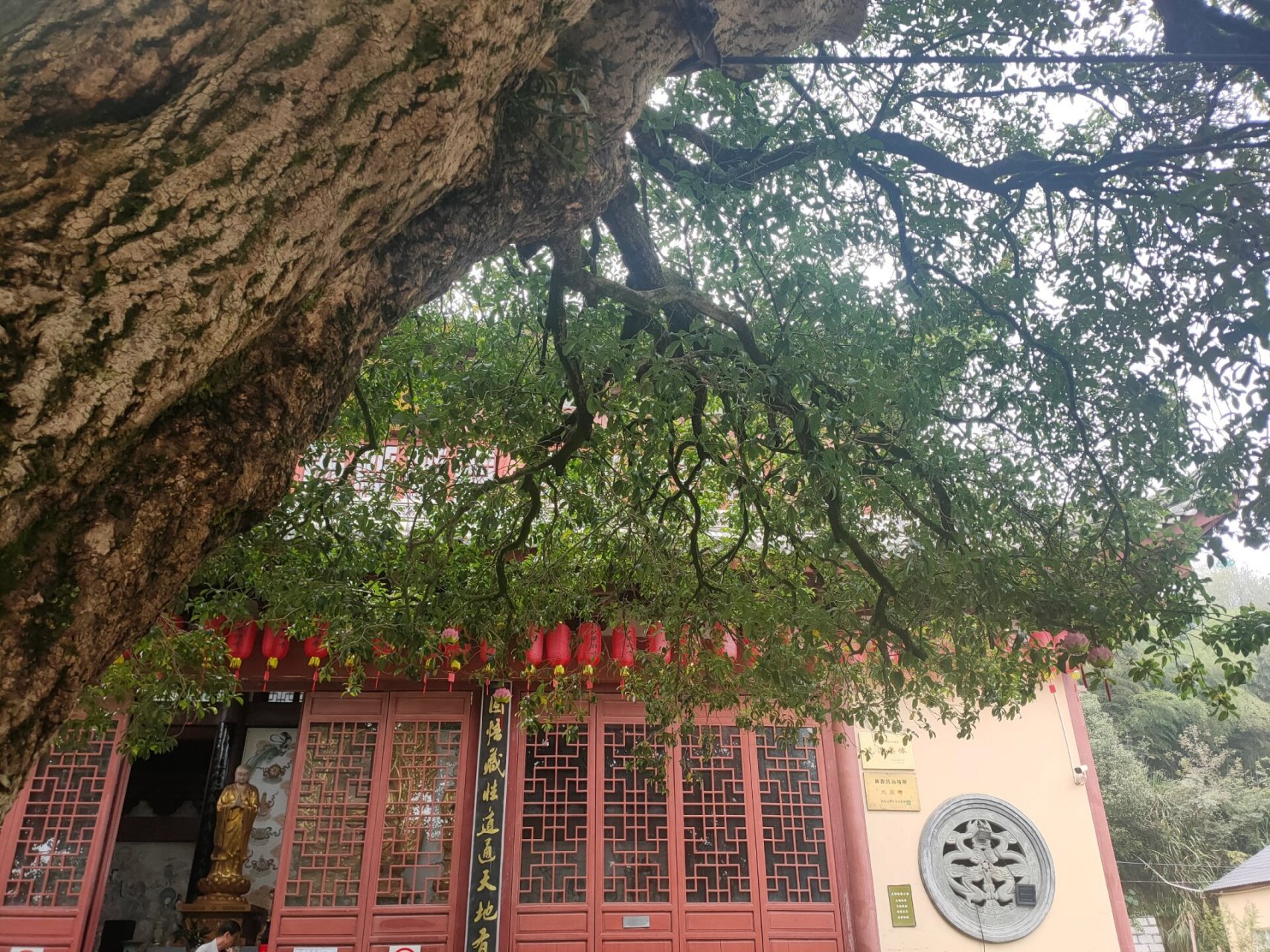 衢州大乘寺简介图片