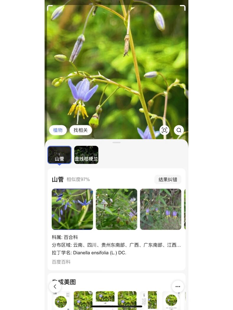 百度app拍照识万物