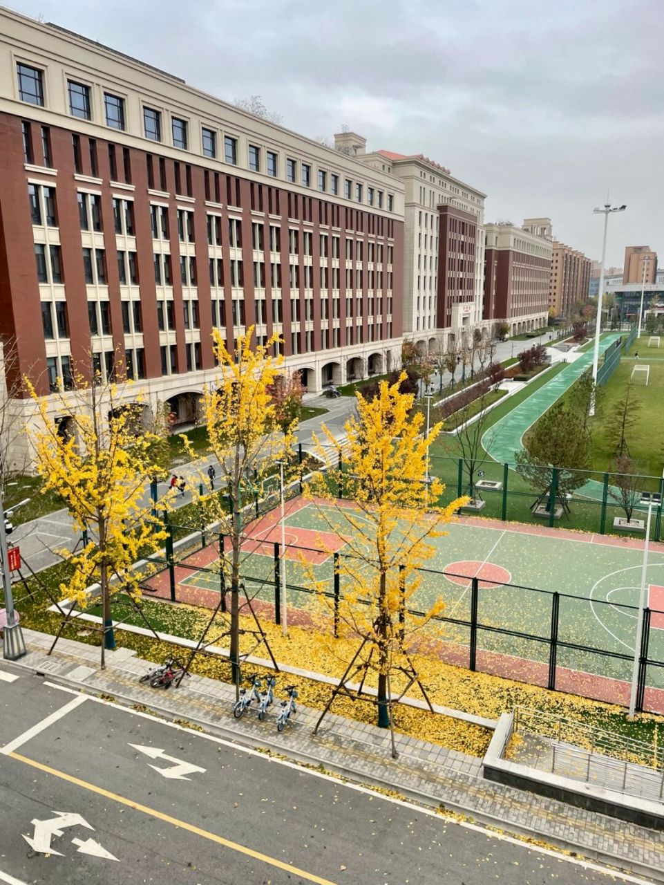 攒了一整个西安交大创新港的秋天 今年的冬天似乎来的格外早,每天都在