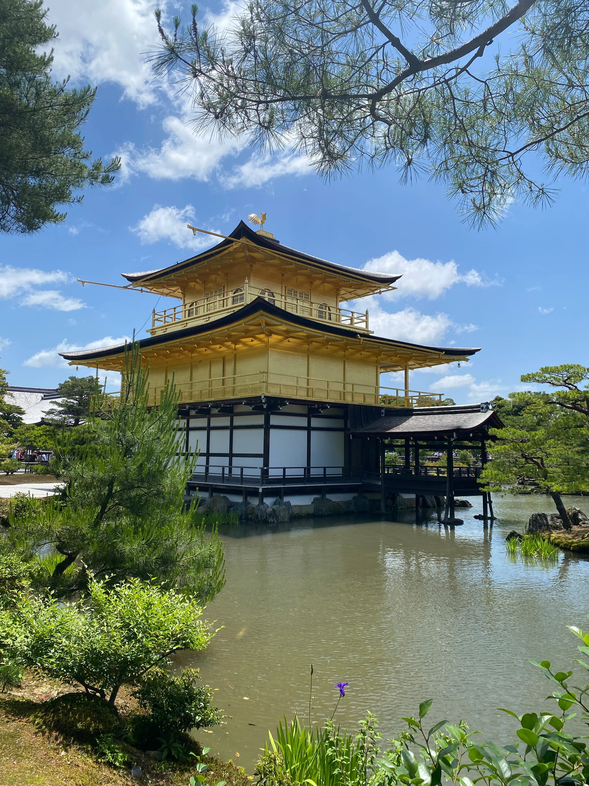 日本金阁寺介绍图片