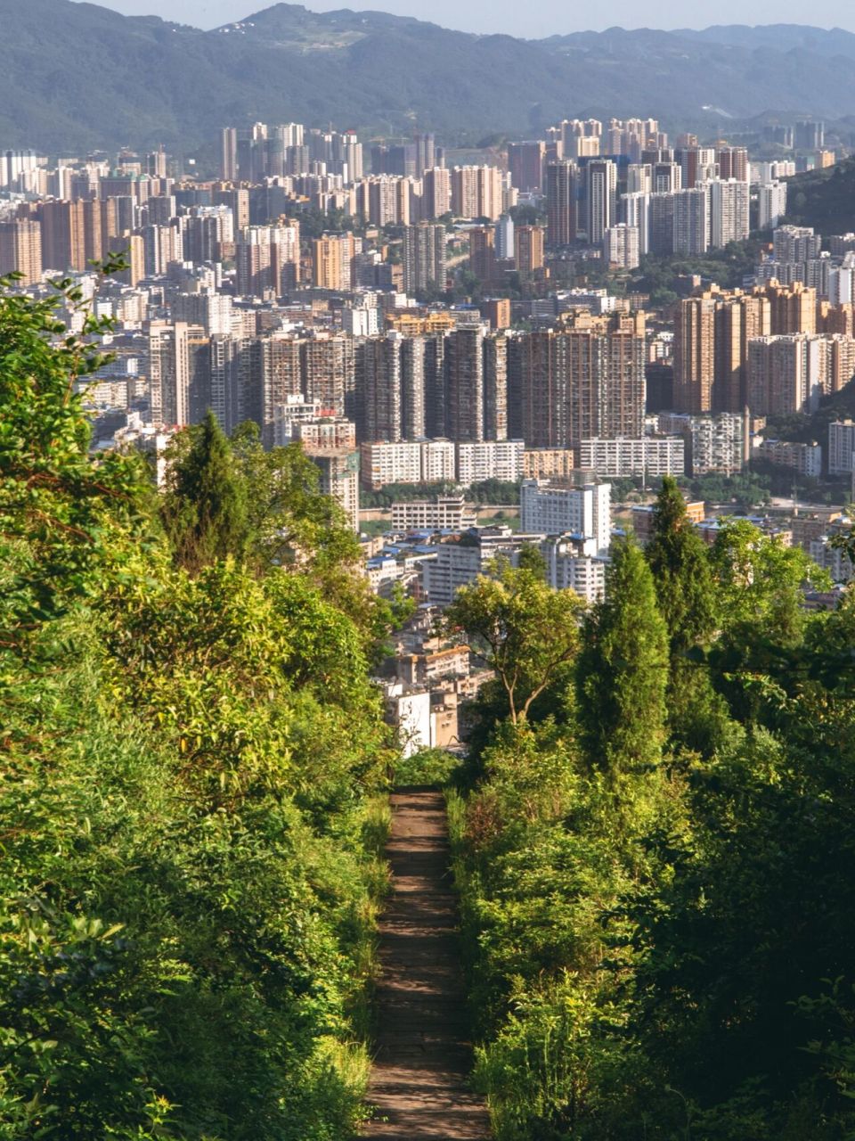 达州凤凰山照片图片