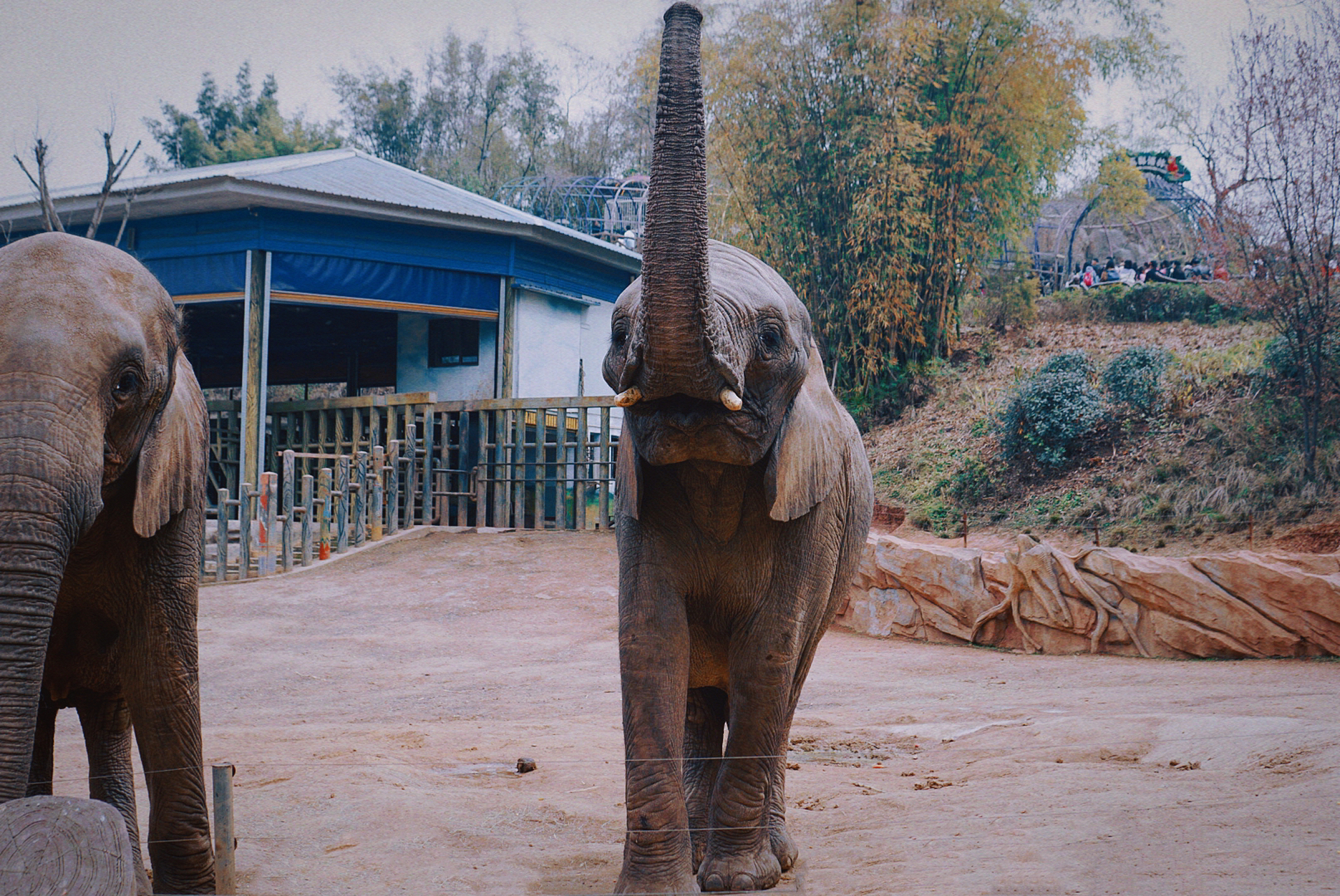 永川野生動物園 重慶自駕過去差不多1個多小時,直接導航永川野生動物