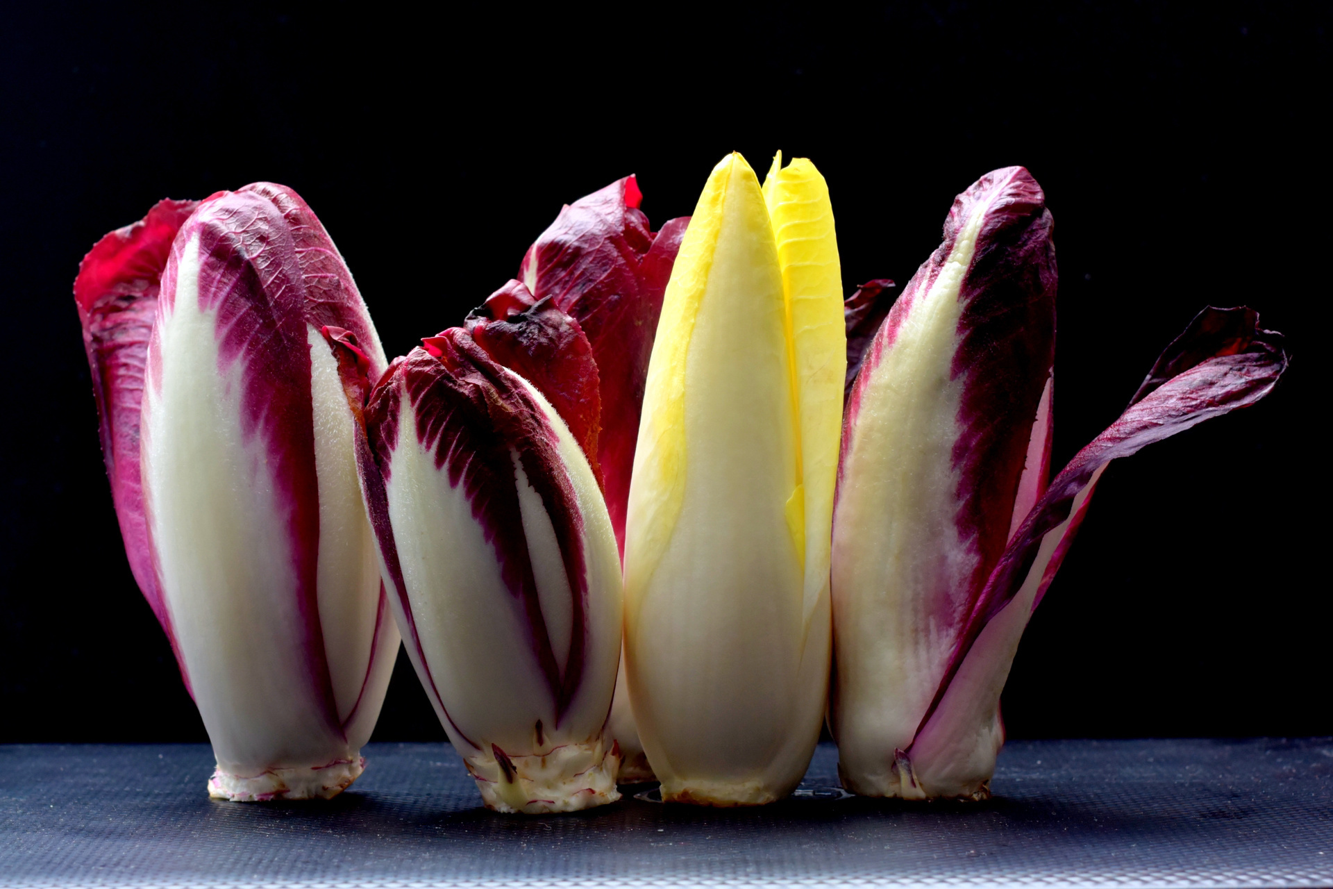菊苣 菊科  菊苣属  多年生草本植物.