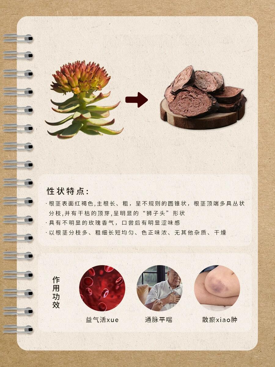 景天的图片功效与作用图片