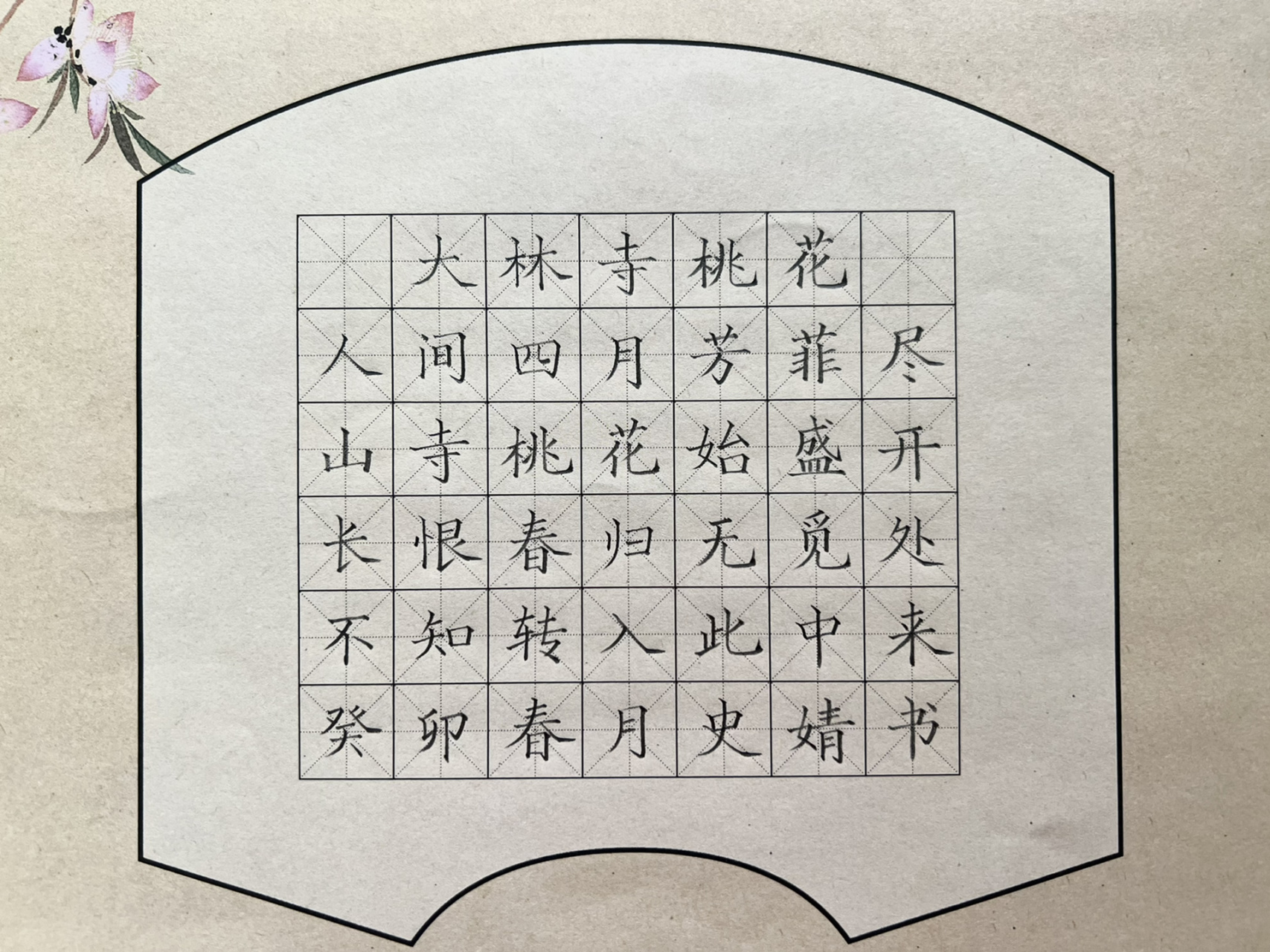 硬笔书法作品—大林寺桃花 78907815       65303134