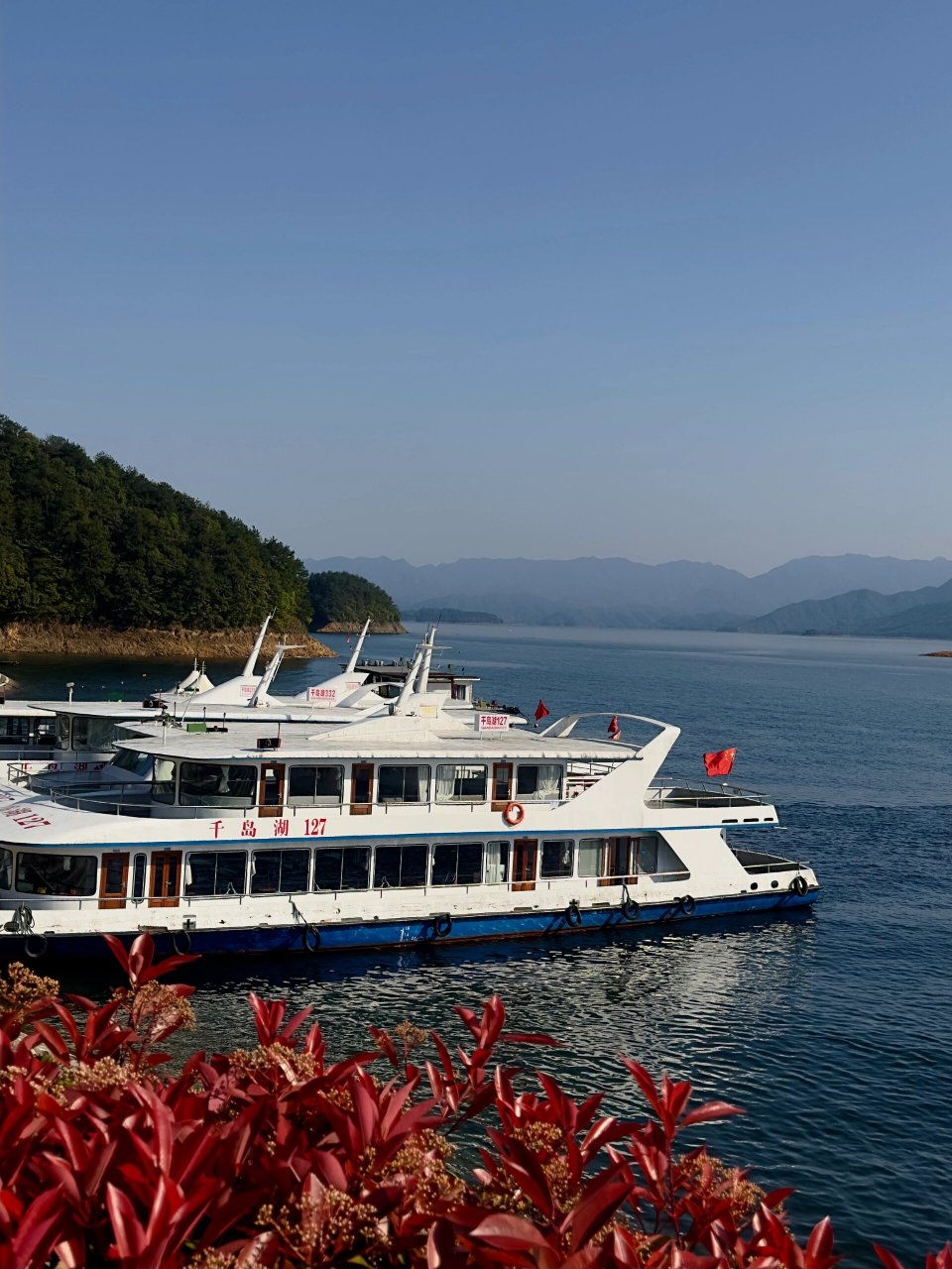 千岛湖|东南湖区天池岛|看鸟 看鱼 看日落   	 千岛湖真的太太太太美