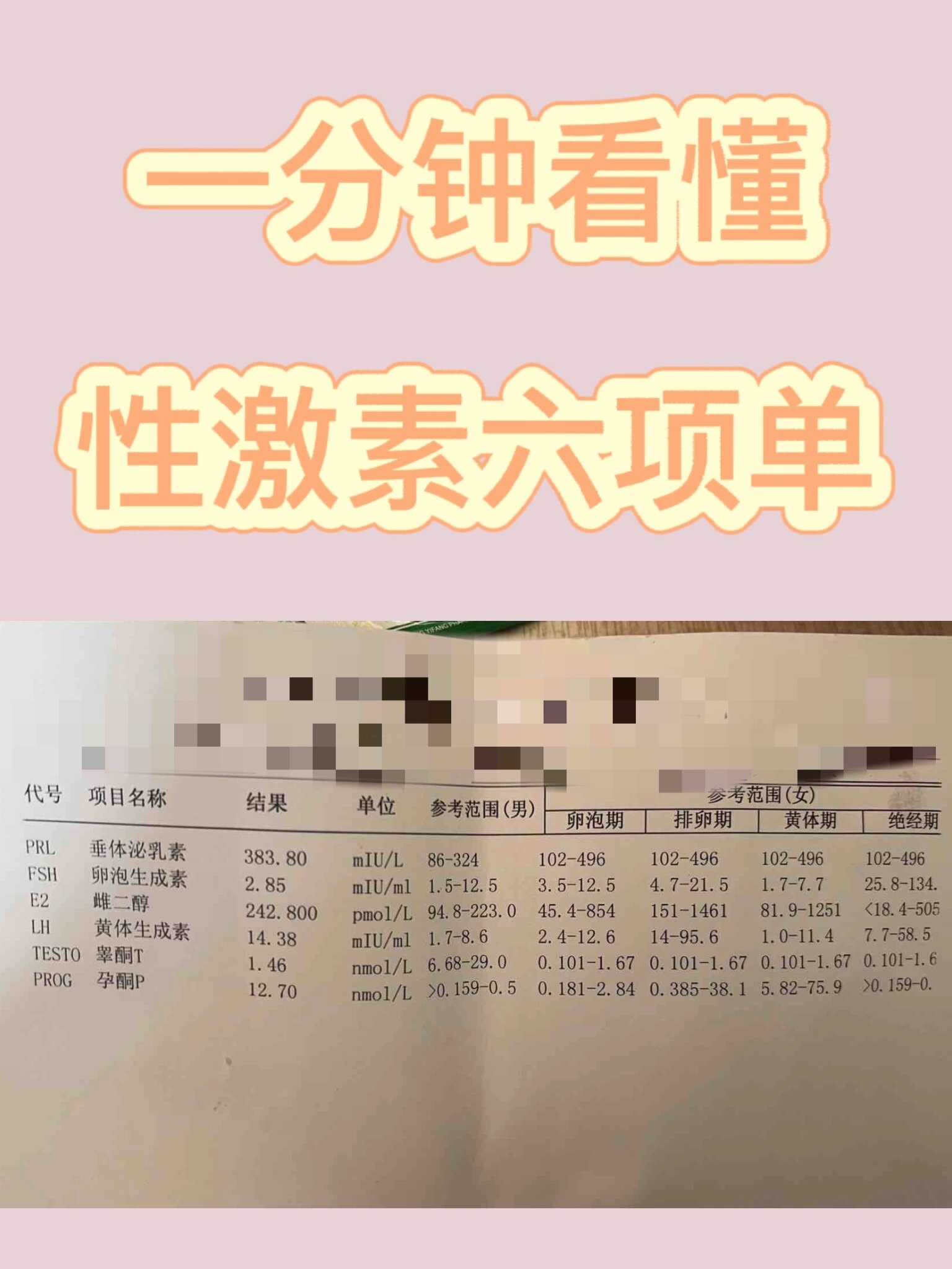 一分钟看懂性激素六项单🎀