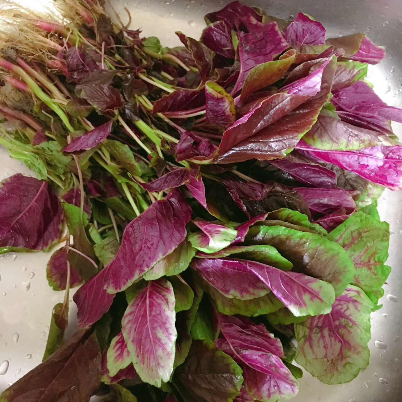 炒汉菜(红苋菜) 汉菜,又叫红苋菜,成都这段时间的当季蔬菜. 刚出来的