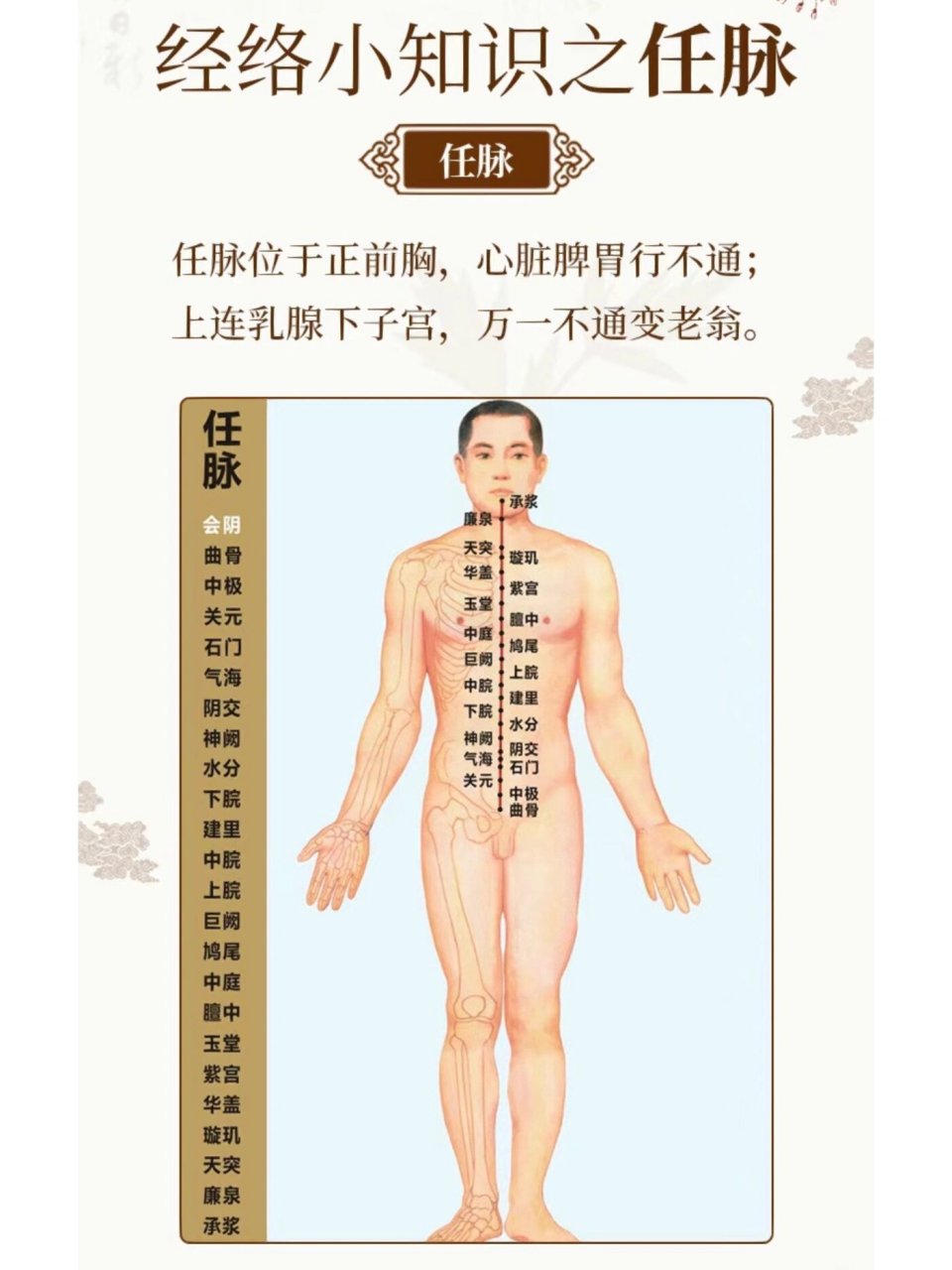 96经络小知识—任脉 任脉位于正前胸,心脏脾胃行不通; 上连乳腺下