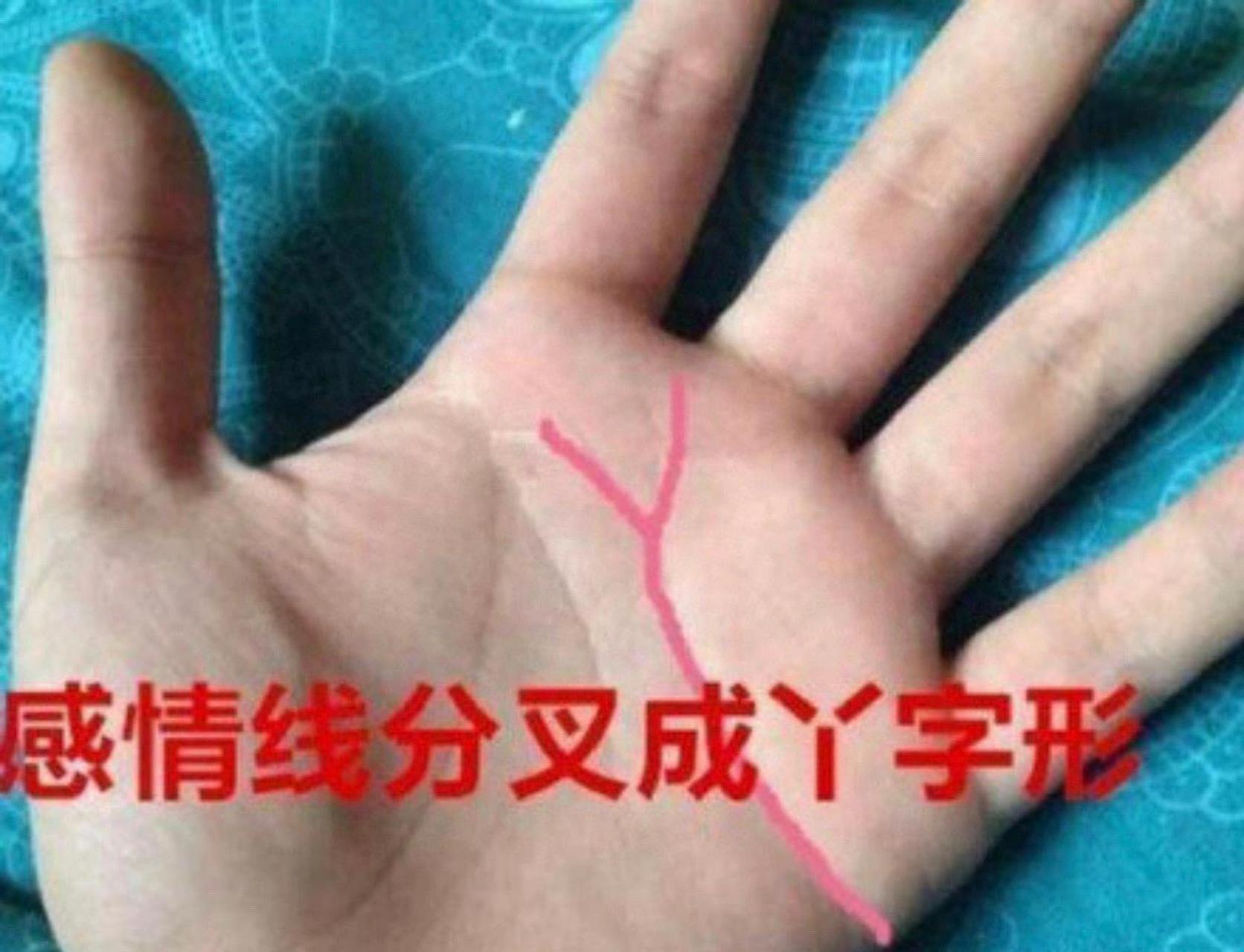 手上的y字纹代表什么 手上的y字纹,一婚不长久,二婚才到头,手相的感情