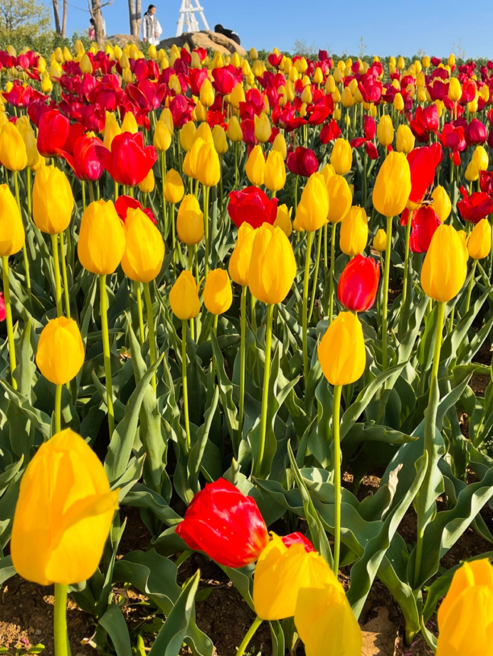 摄于2021年5月2日 下午一点多从市区出发,开了两个多小时才到英歌石