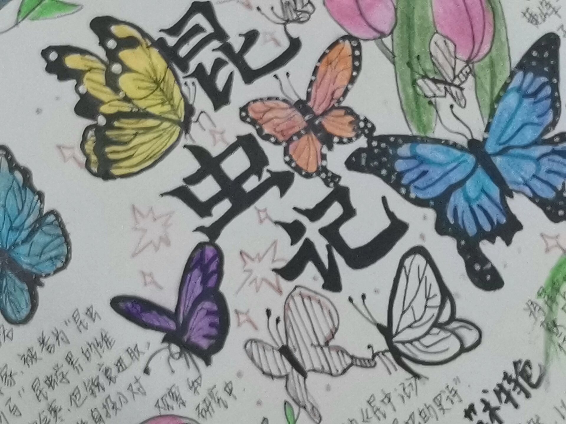 《昆虫记》手抄报