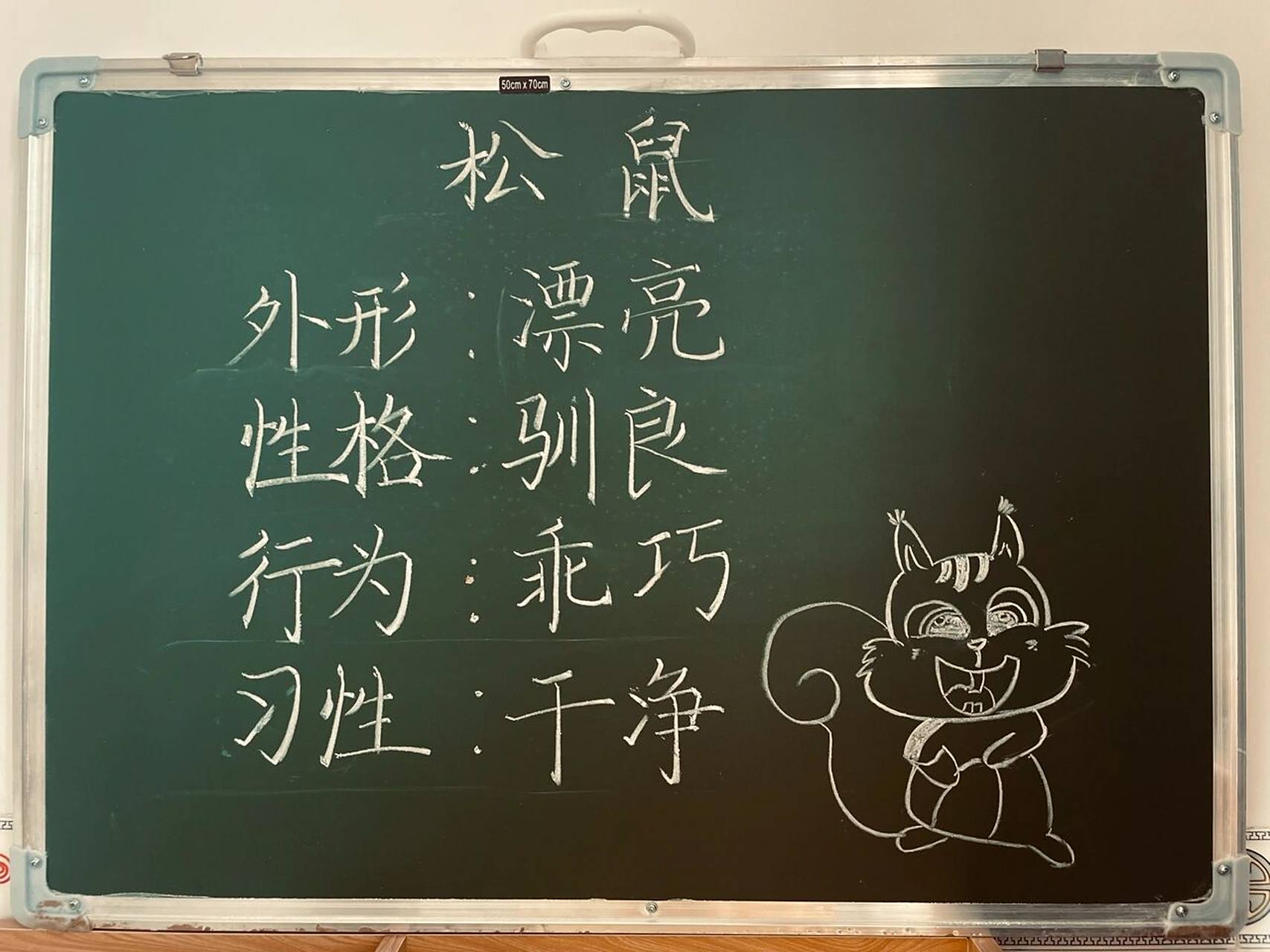 五年级上册《松鼠》板书设计 #板书设计