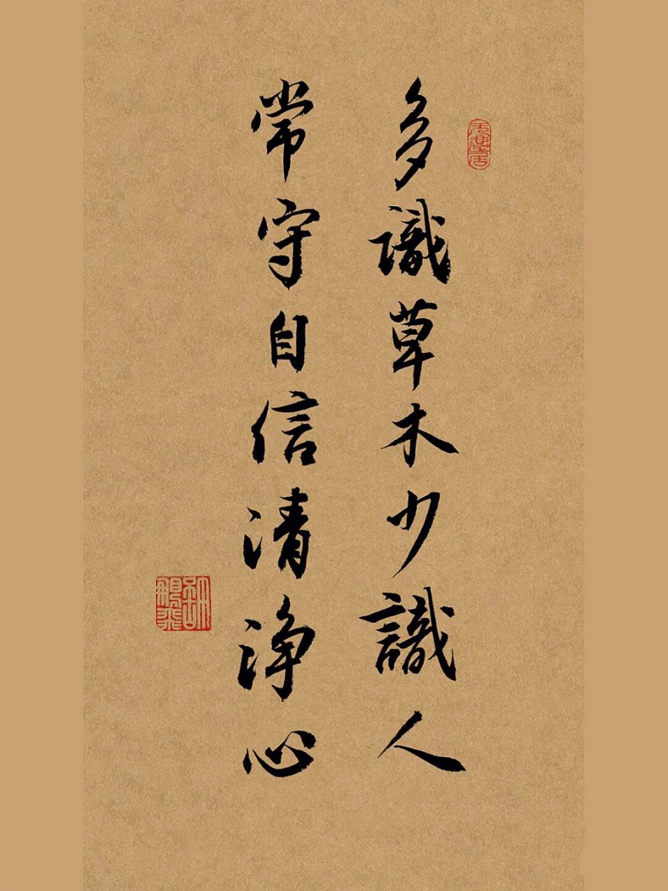 常守自信清净心 #日常碎片plog# #笔记灵感# #手写# #我的书法分享