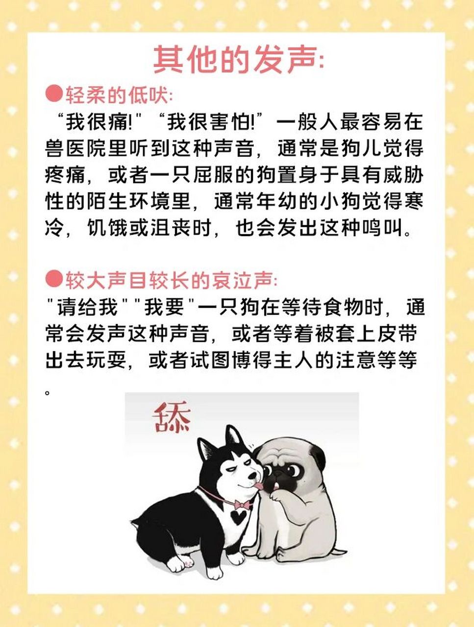 从狗狗叫声判断狗狗的意思,铲屎官快来学98 我们所要了解的是狗儿
