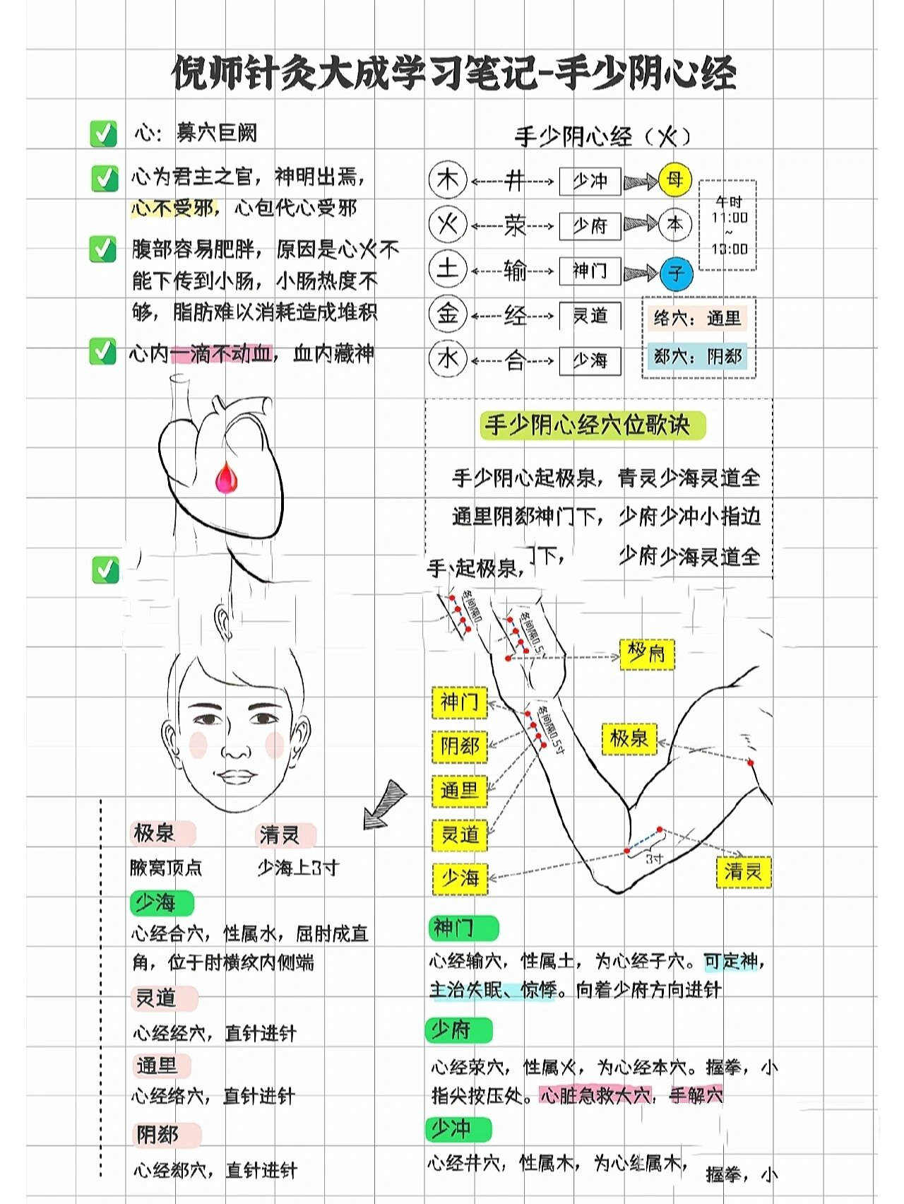 心经位置图片