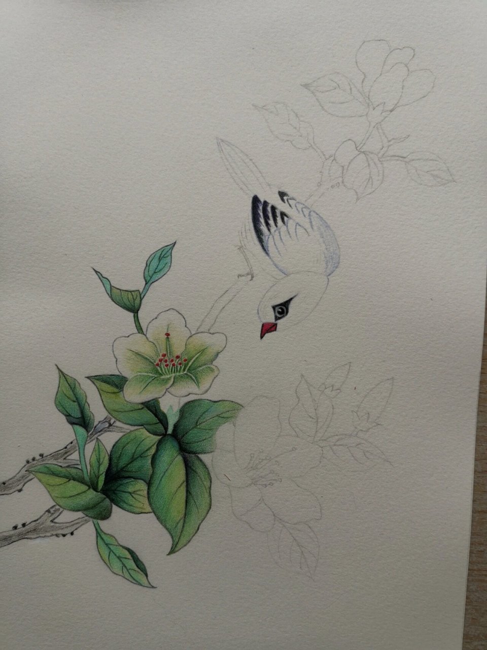 彩铅画(61)鸟语花香 临摹春堂书画老师的作品.感谢分享!