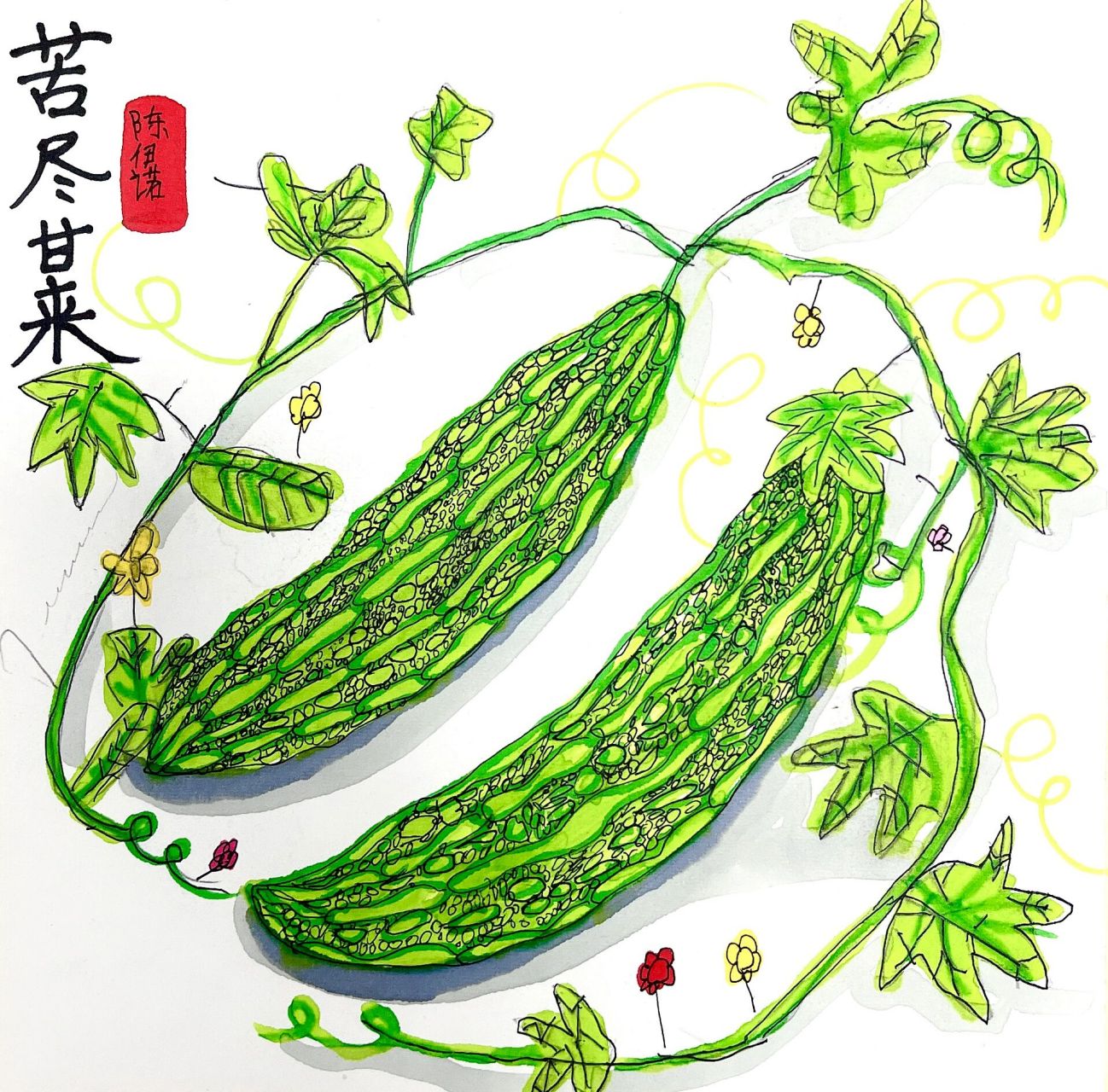 苦瓜写生(1-2)作品     范画和素材之前发过