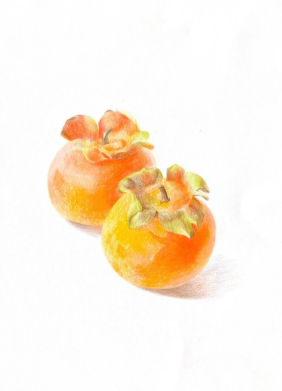 彩铅柿子 再来一幅彩铅版