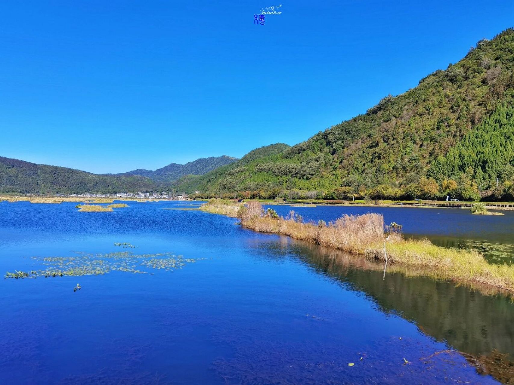 腾冲北海湿地 腾冲的北海湿地可是云南省唯一的国家湿地保护区哦