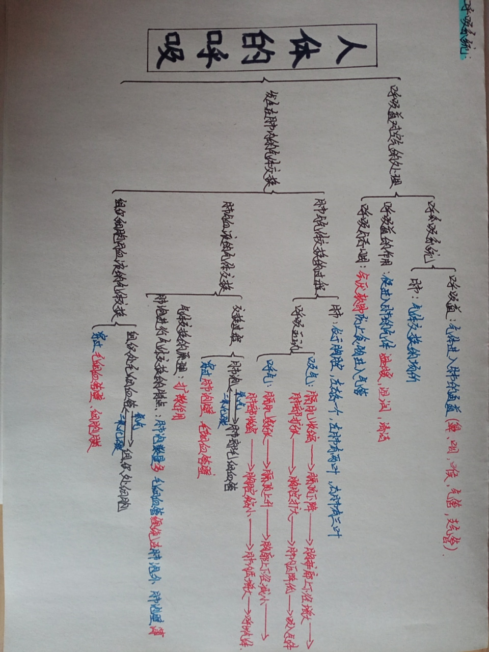 七下生物思维导图第三章呼吸系统(27ω27) 七下生物思维导图第三