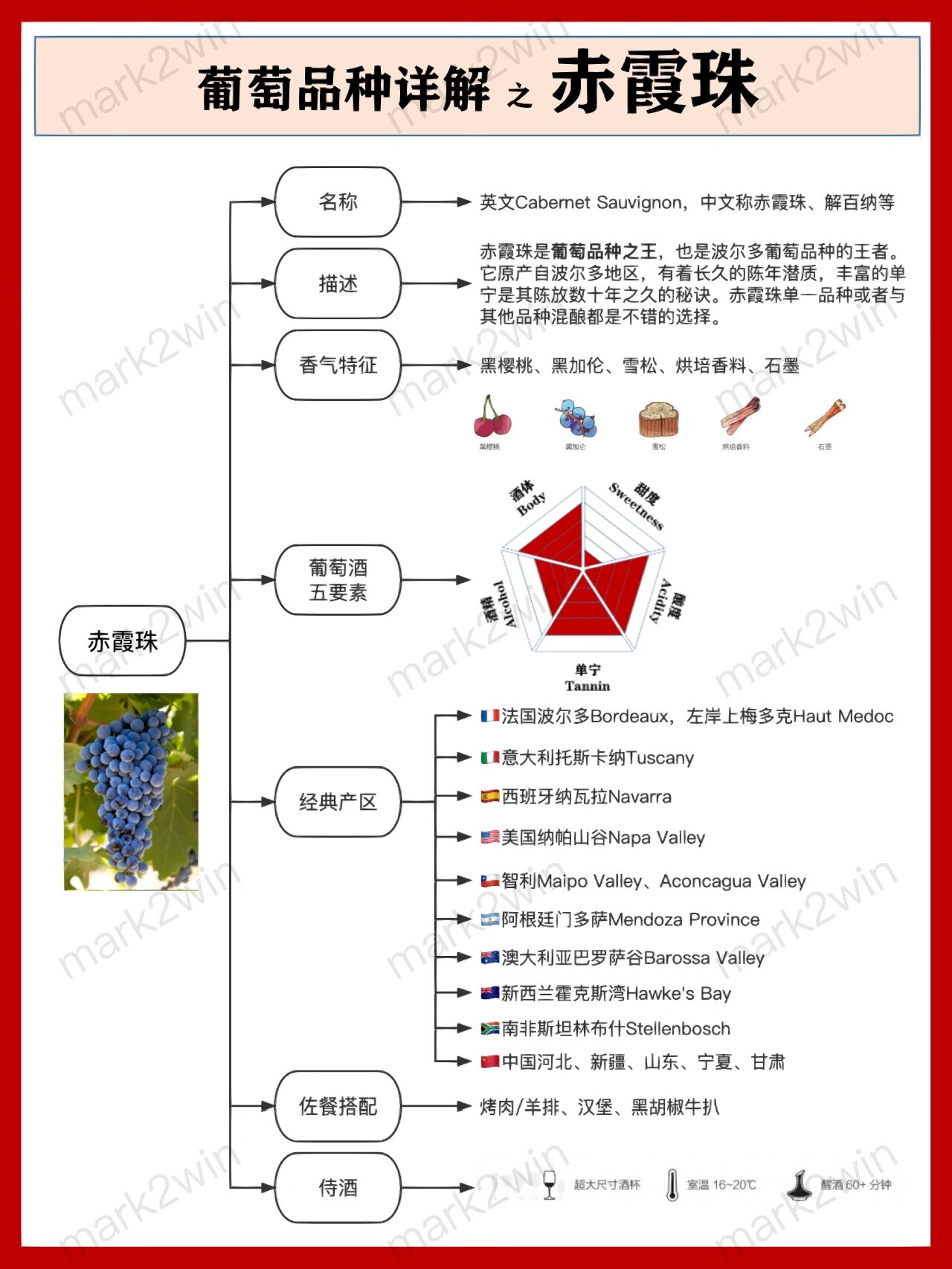 赤霞珠英文图片