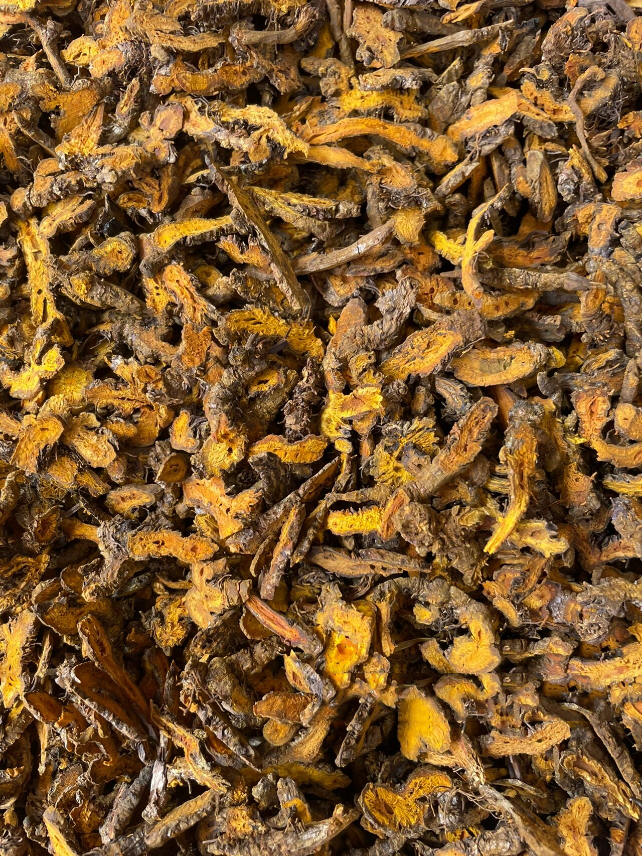 每日一懂中药养生