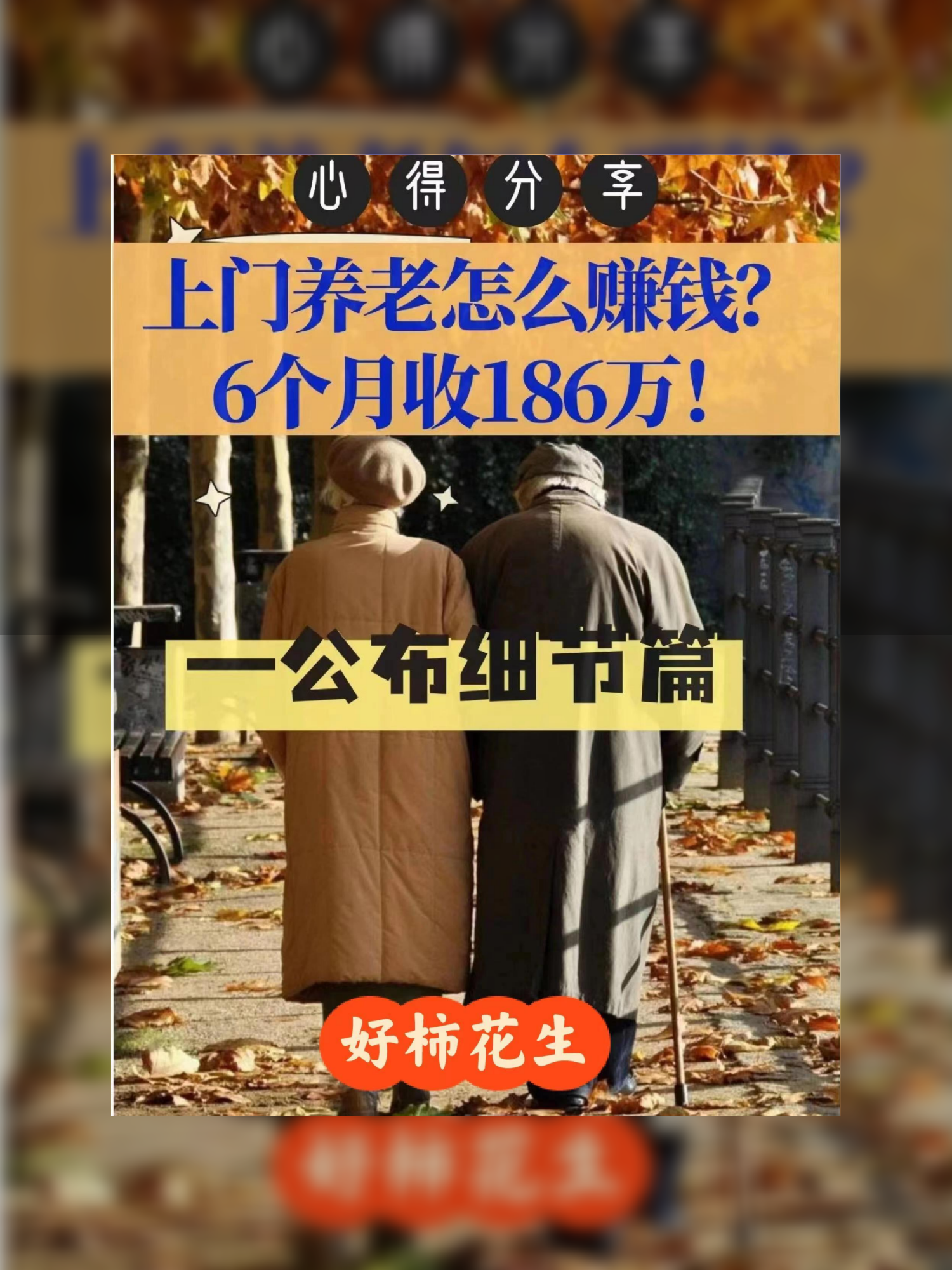 养老创业的机会(养老创业的机会有哪些)