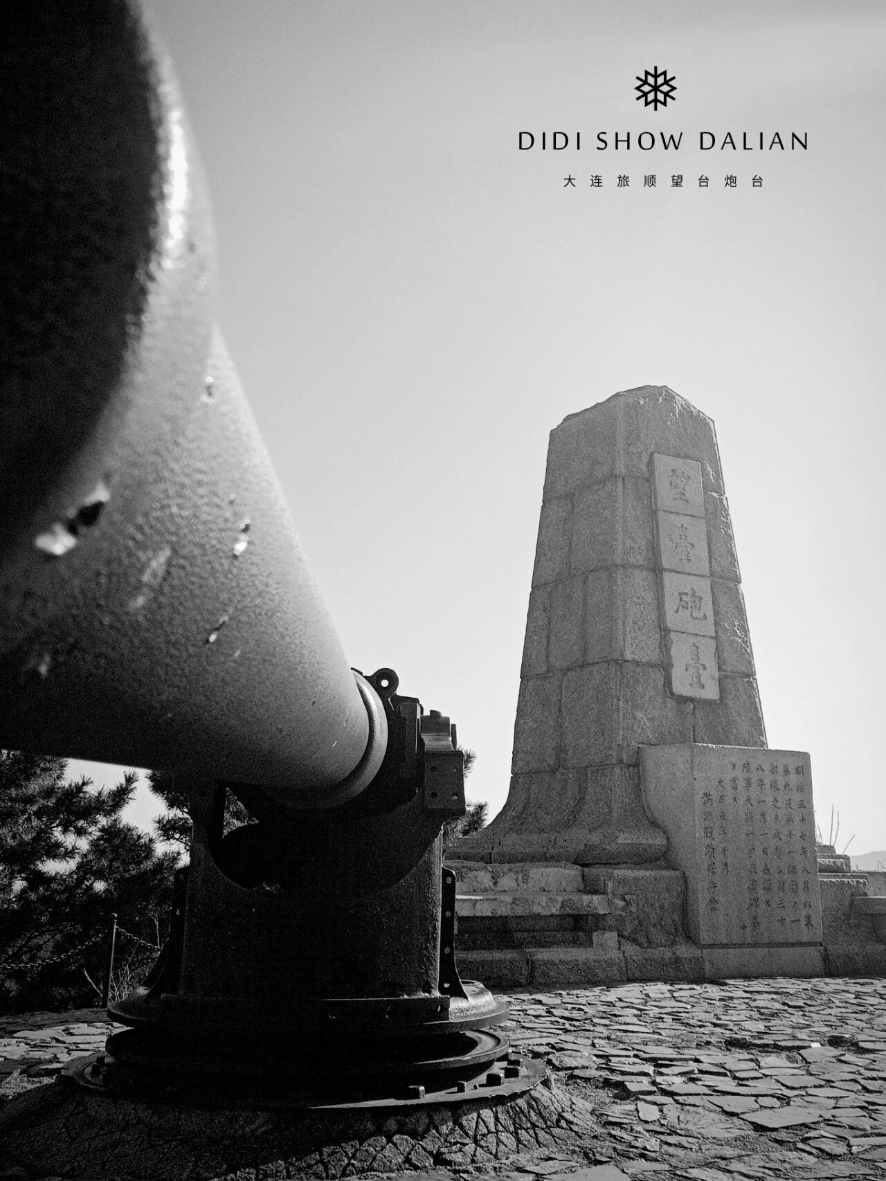 大连旅顺望台炮台 地址导航:大连旅顺东鸡冠山堡垒西一公里 门票情况