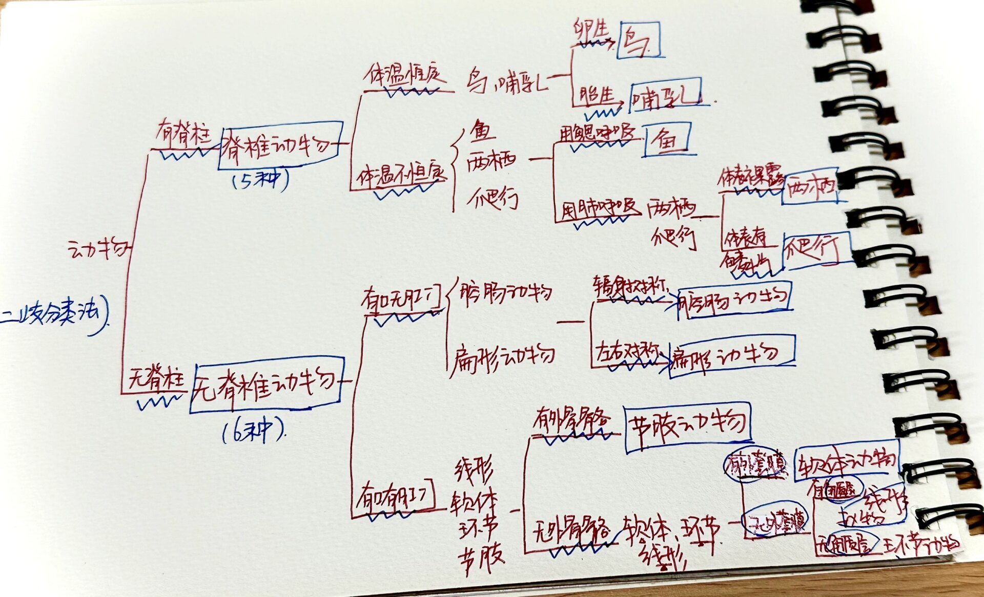 对生物进行分类 对植物动物微生物进行分类,分类主要用到的方法为二歧