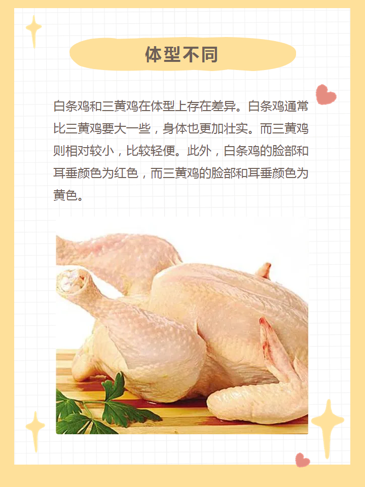 三黄鸡和白条鸡的区别 白条鸡和三黄鸡是两种不同的家禽品种,它们在