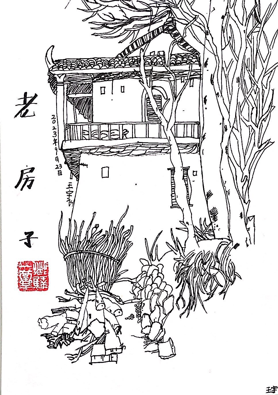 线描 建筑/老房子