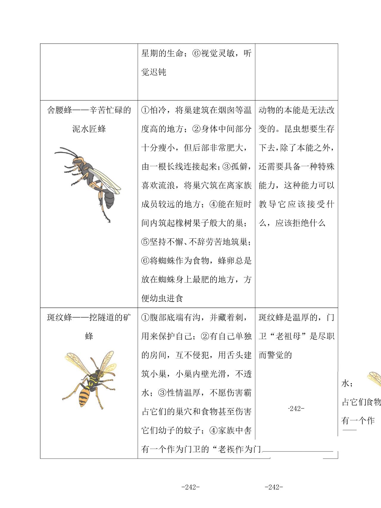 昆虫的名字大全图片