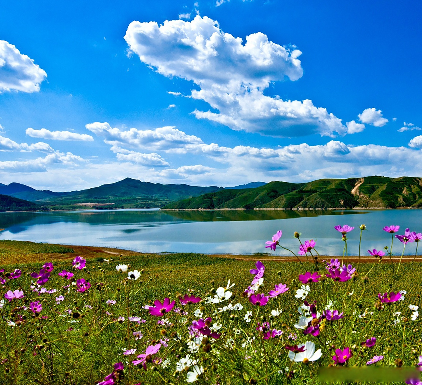 77赤城61云州水库】#张家口#  云州水库,位于张家口市赤城县城以北