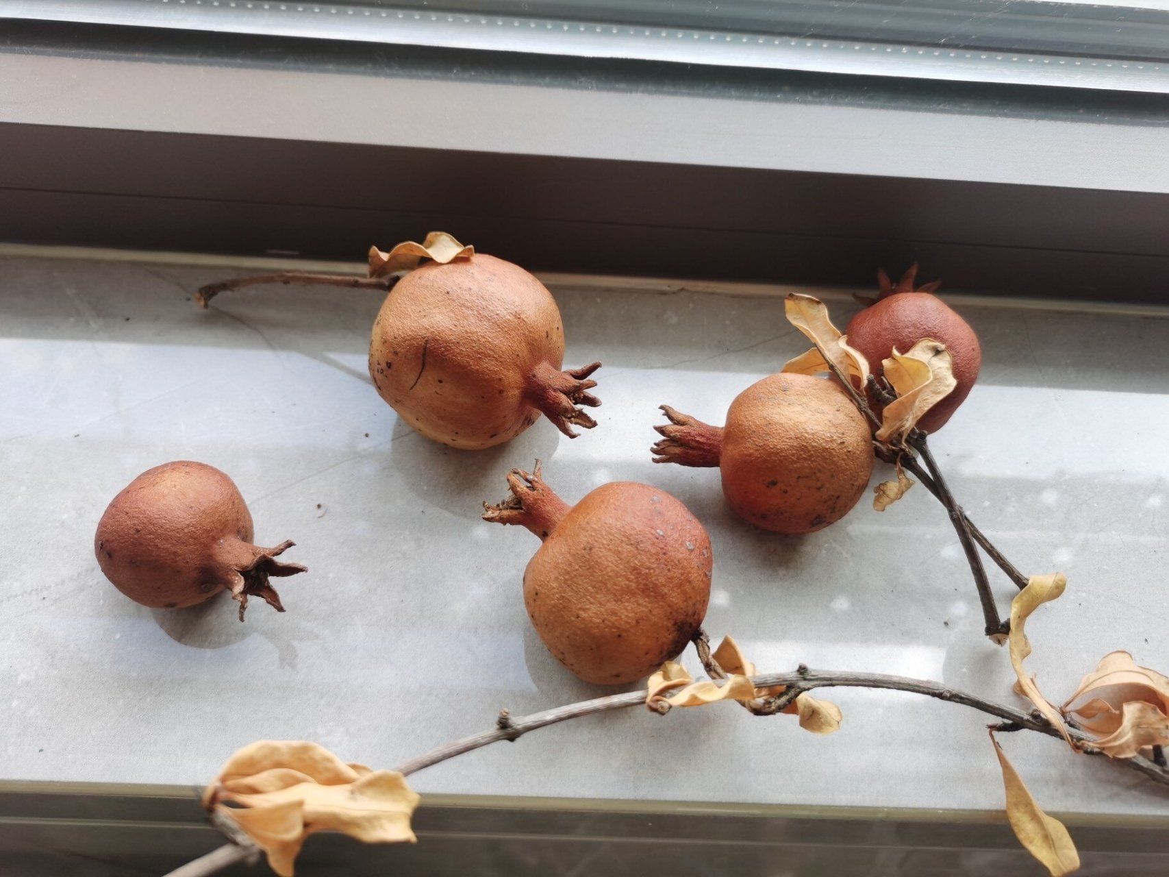 选果,选取皮色红润光滑的石榴,熟度不要太高,熟度越高糖分越高越容易