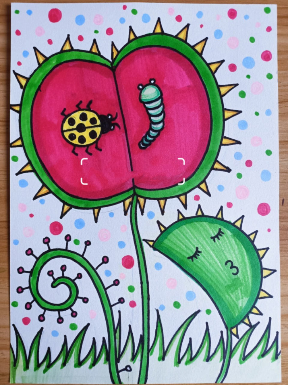 儿童创意简笔画食虫草食蝇草猪笼草昆虫