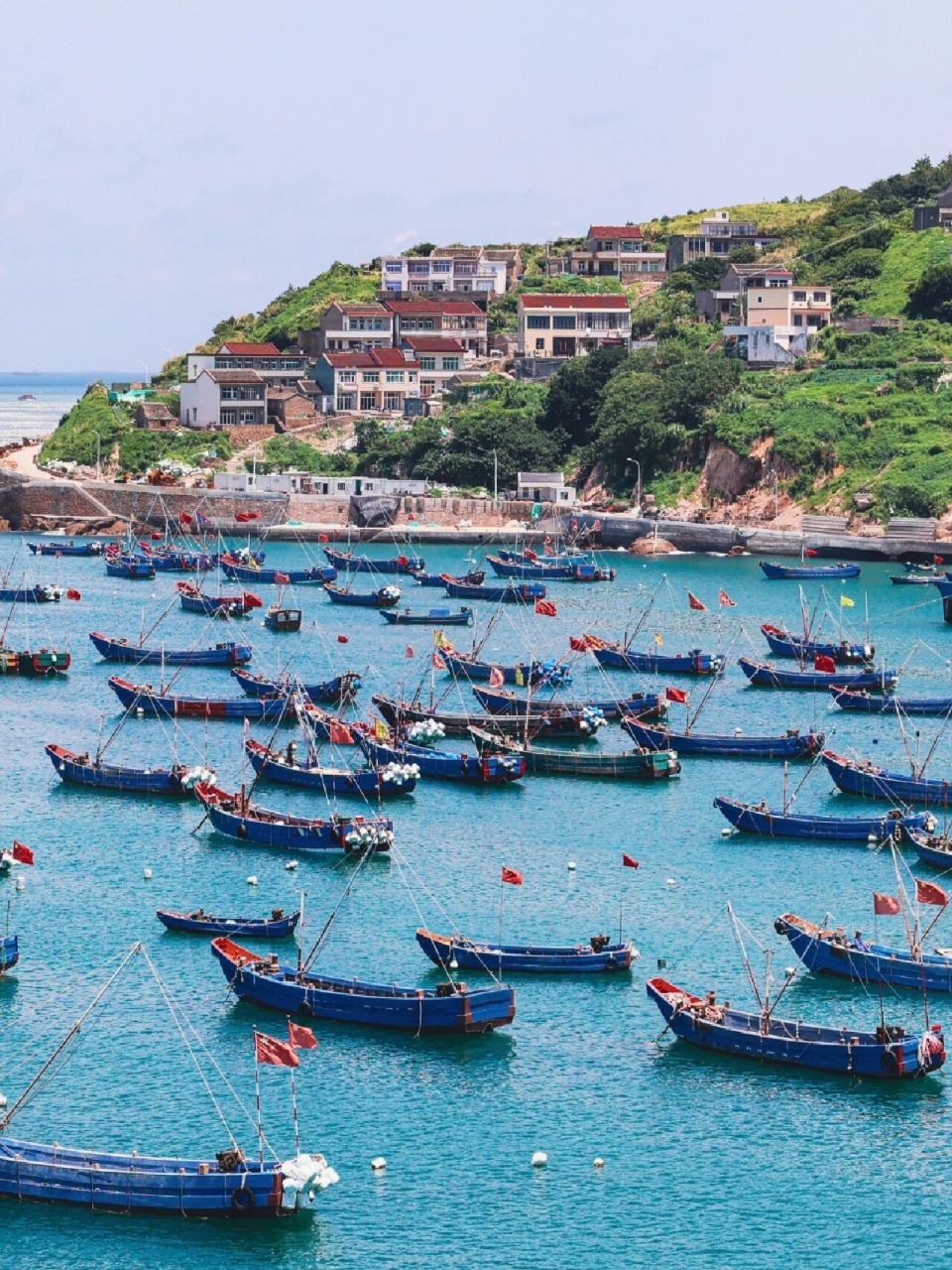 舟山枸杞岛|可以闭眼冲的宝藏小岛08 国内的海岛实在多了,比起知名