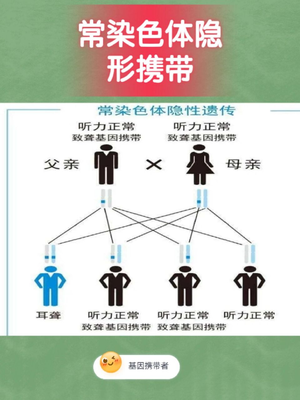 教你看耳聋基因报告,杂合突变是怎么回事?